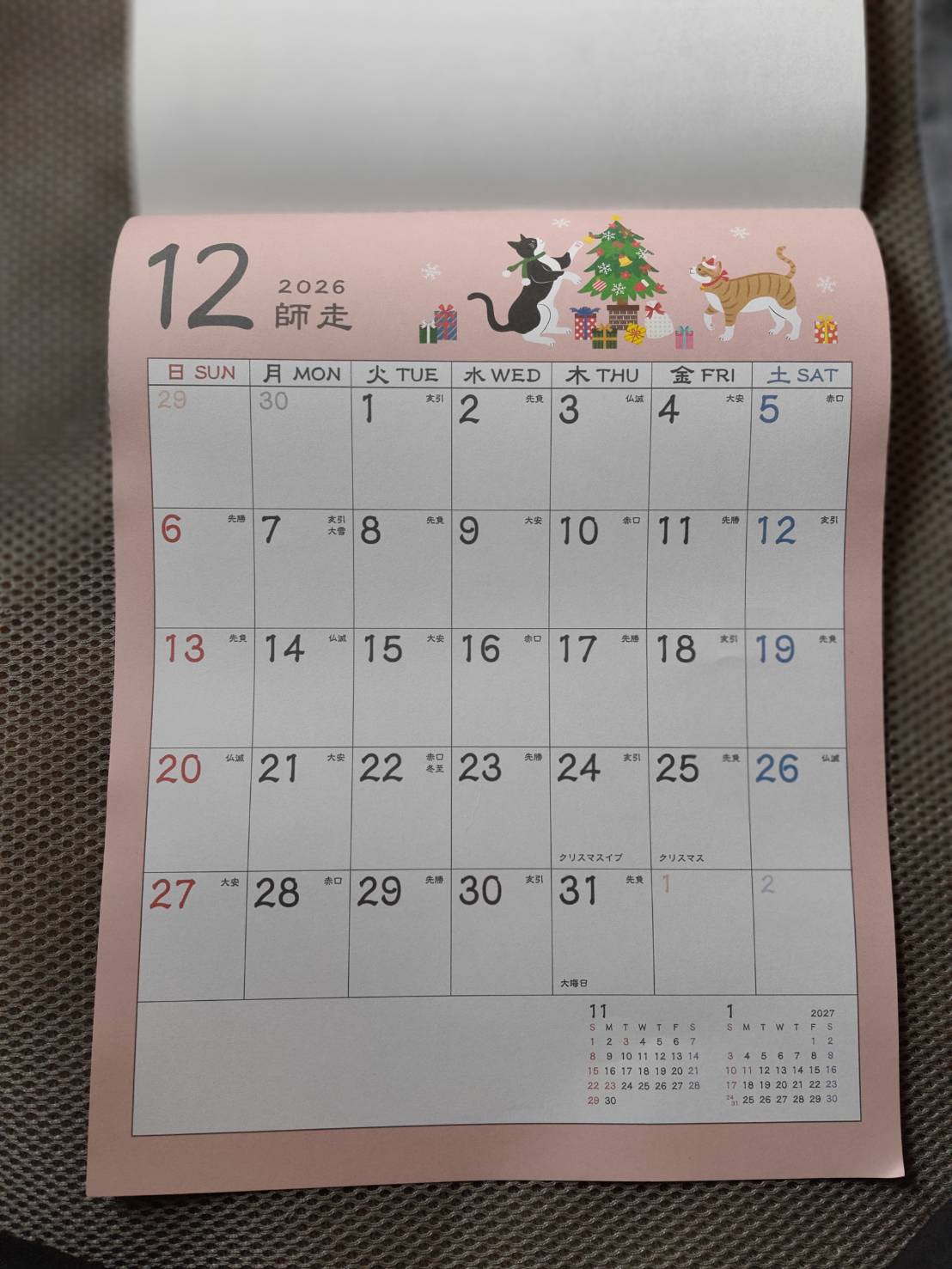 12月猫