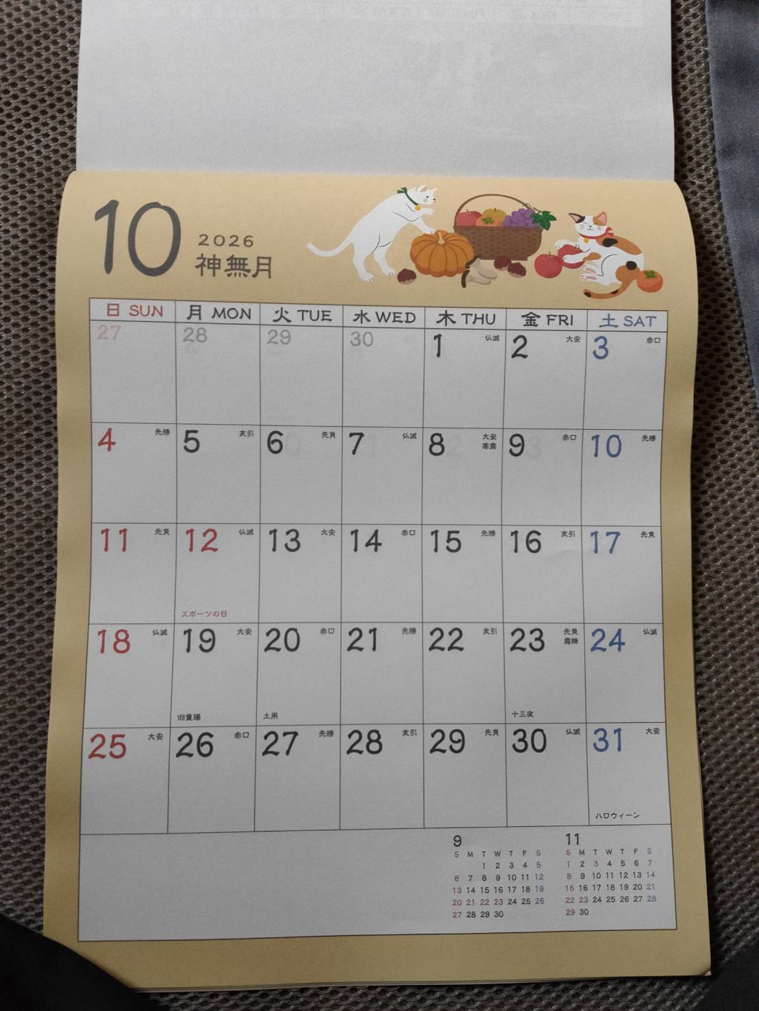 10月猫